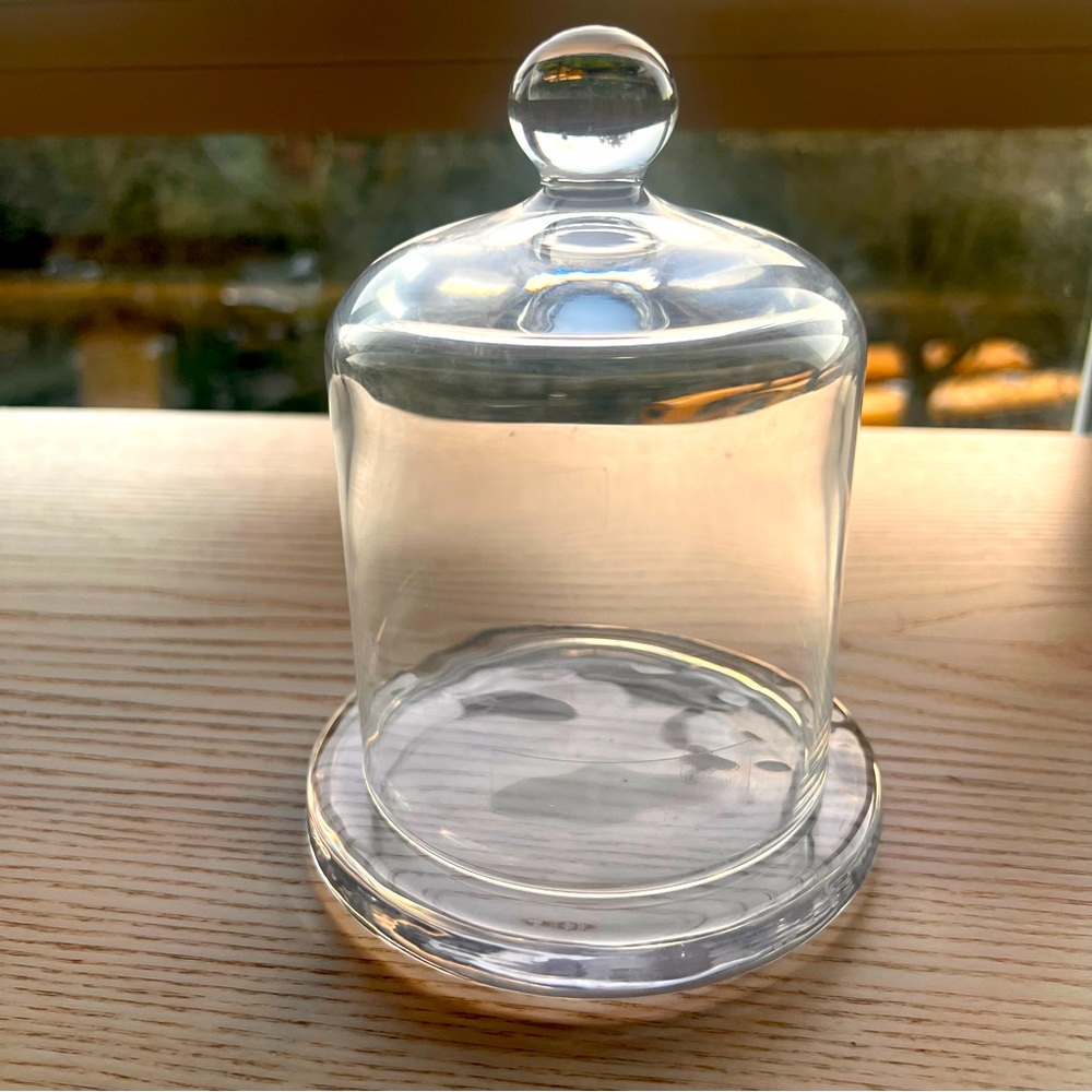IKEA Glass Cloche with Base | Display Dome | Minimal Home Decor